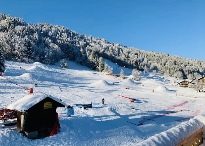 Apartment In Morzine - Ski In - Sleeps 6